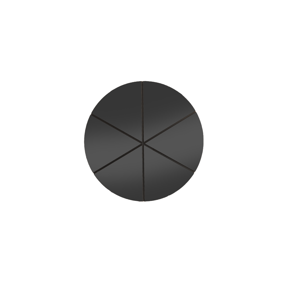 Pizza Platter - Premium Black Radial 2